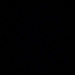 Meet your Posher, Kenny